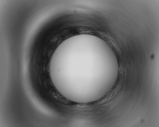 X0000103230763200808280950