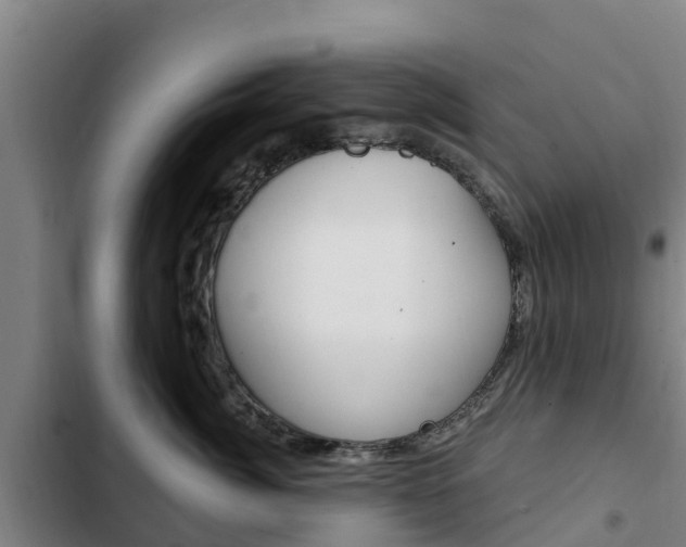 X0000103230764200808280950