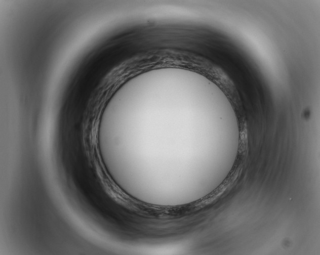 X0000103230765200808280950