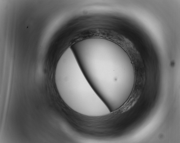 X0000103230766200808280950