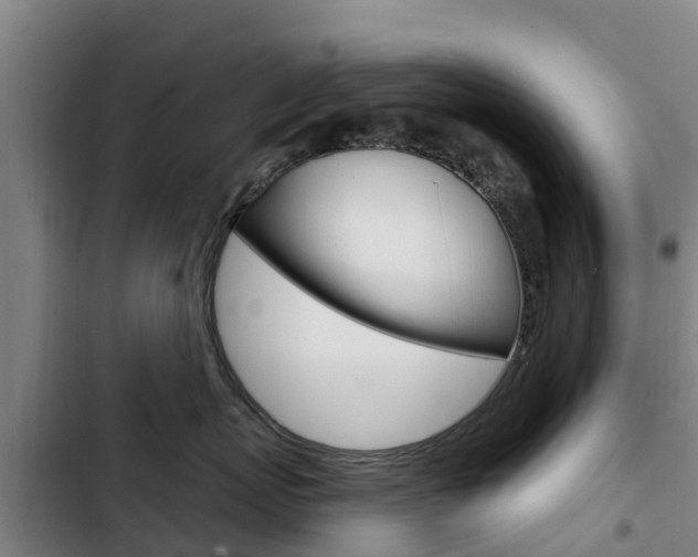 X0000103230767200808280950