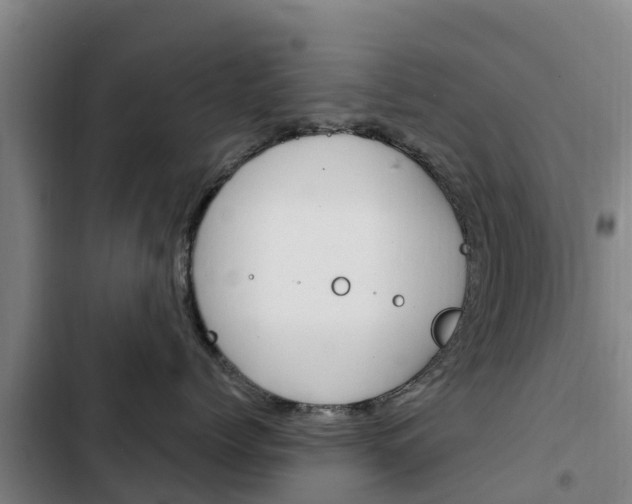 X0000103230768200808280950