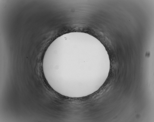 X0000103230769200808280949