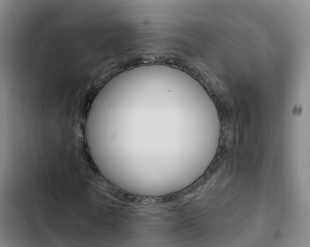 X0000103230770200808280949