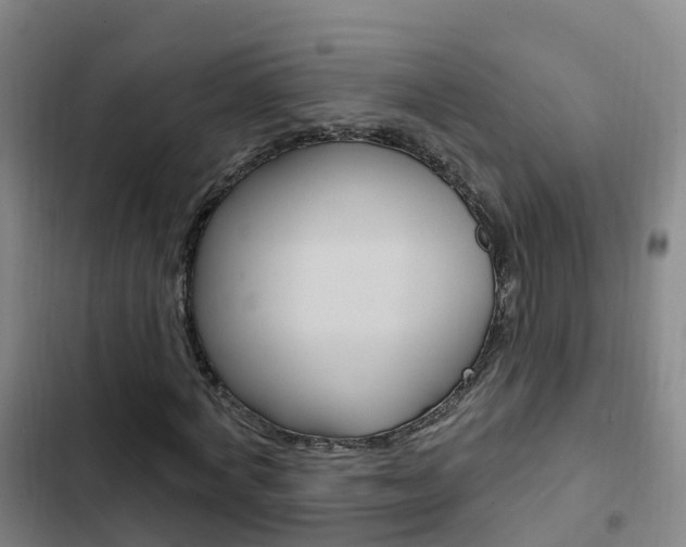 X0000103230772200808280949