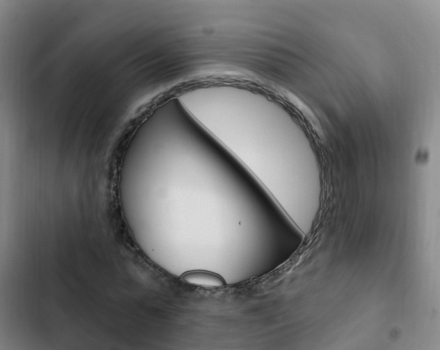 X0000103230775200808280949