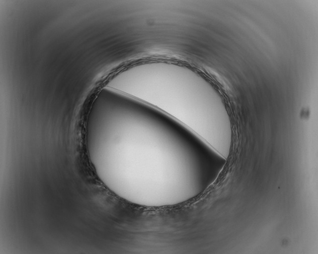 X0000103230776200808280949