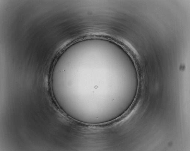 X0000103230777200808280949
