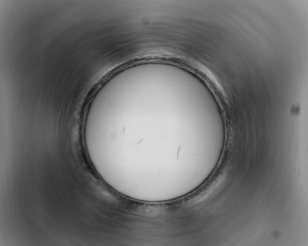 X0000103230778200808280949