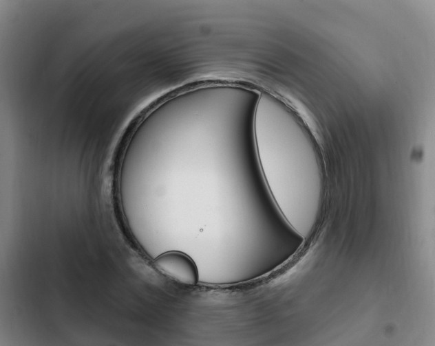 X0000103230779200808280949