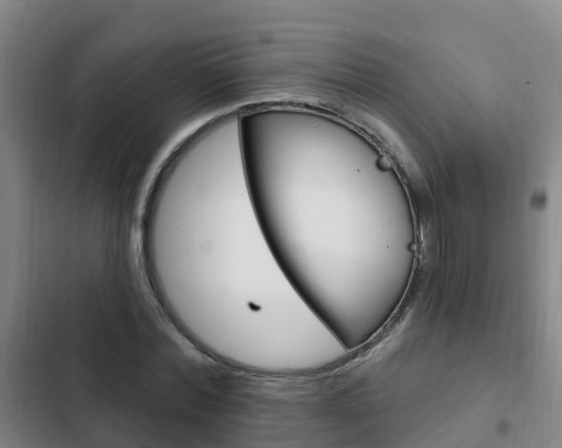 X0000103230780200808280949