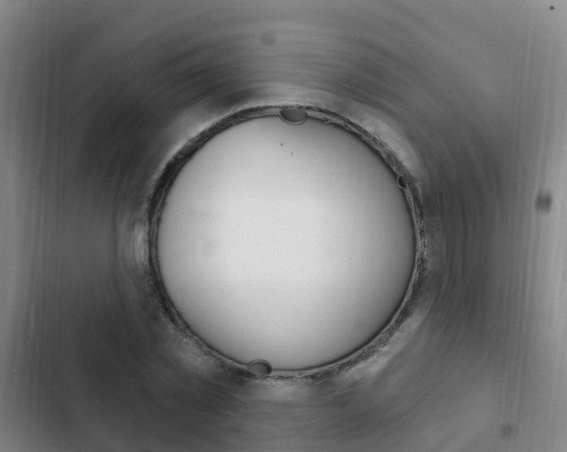 X0000103230781200808280949