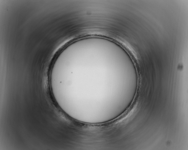 X0000103230782200808280949