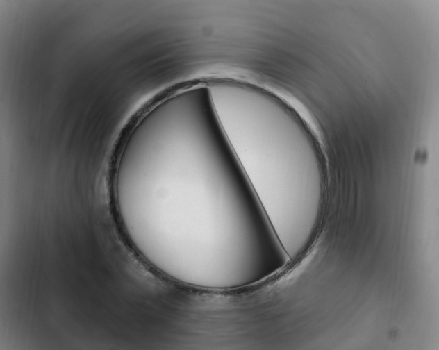 X0000103230783200808280949