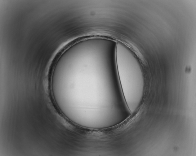 X0000103230784200808280949