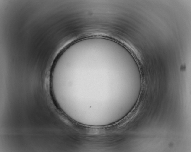 X0000103230790200808280949