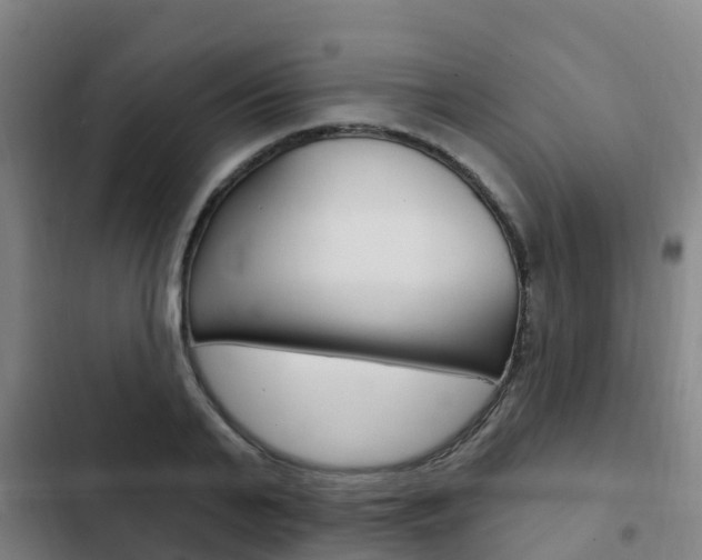 X0000103230791200808280949