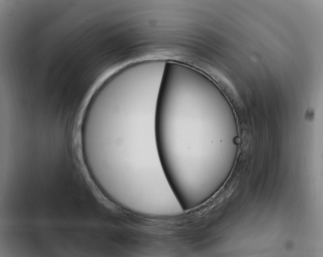 X0000103230792200808280949