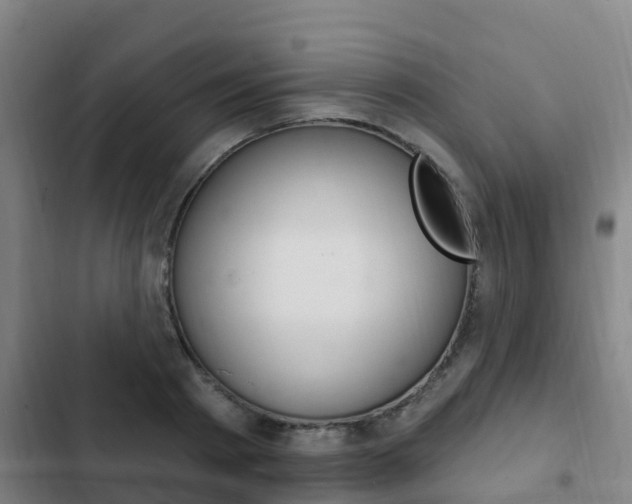 X0000103230793200808280949