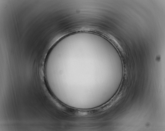 X0000103230794200808280949