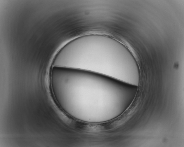 X0000103230795200808280949