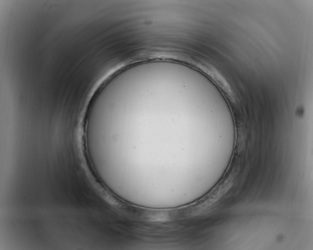 X0000103230798200808280949