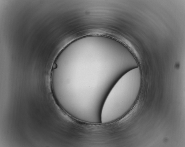 X0000103230802200808280949