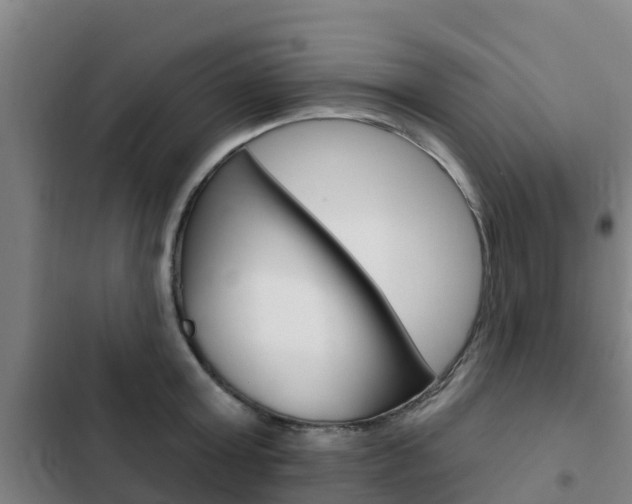 X0000103230803200808280949