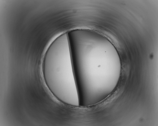 X0000103230804200808280949