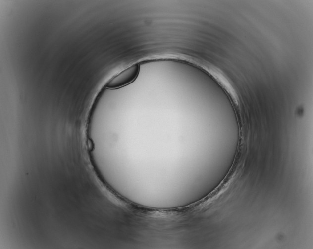 X0000103230805200808280949