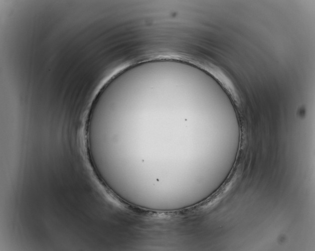 X0000103230806200808280949