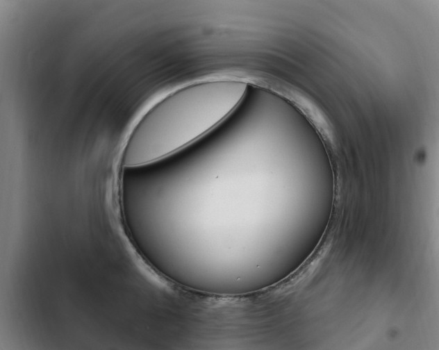 X0000103230808200808280949