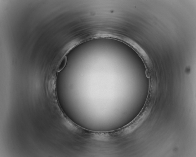 X0000103230809200808280949