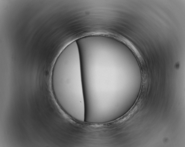 X0000103230810200808280949