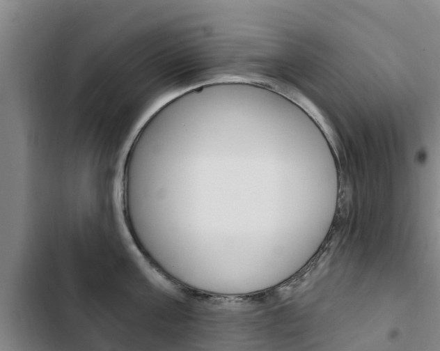 X0000103230811200808280948