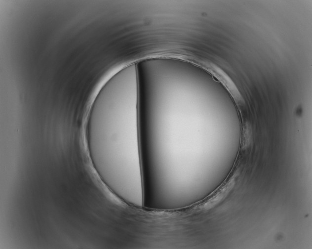 X0000103230812200808280948