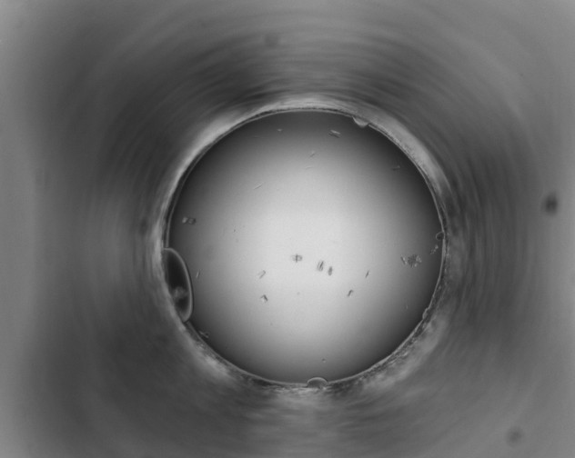 X0000103230813200808280948