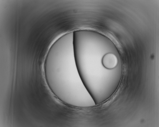 X0000103230814200808280948