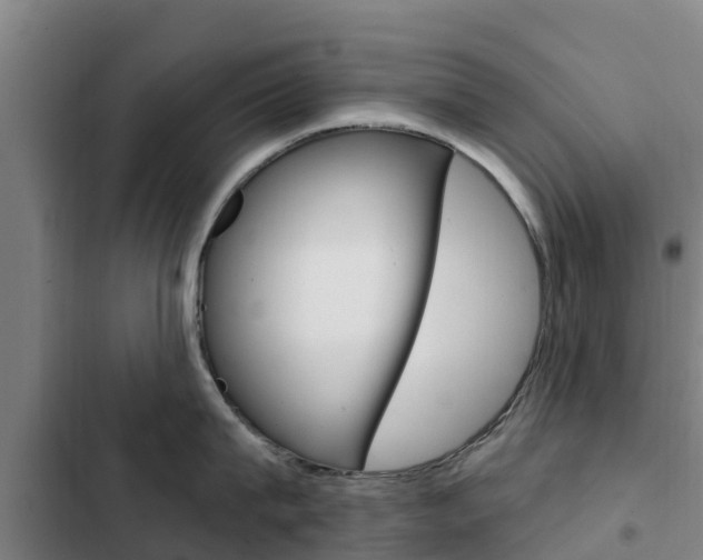 X0000103230815200808280948