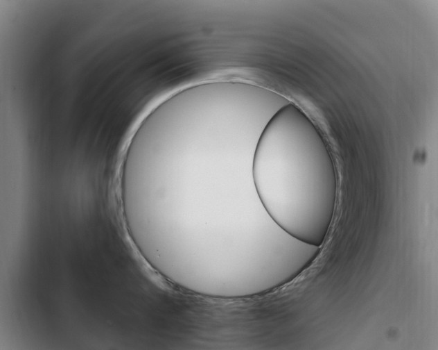 X0000103230816200808280948