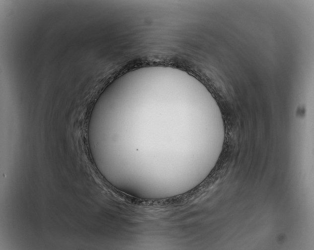 X0000103230817200808280948