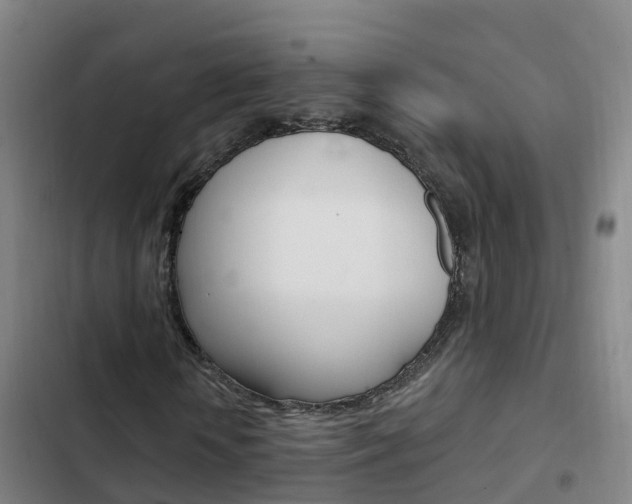 X0000103230818200808280948