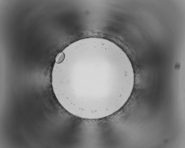 X0000103230820200808280948