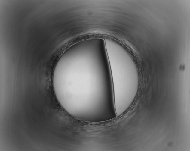 X0000103230821200808280948