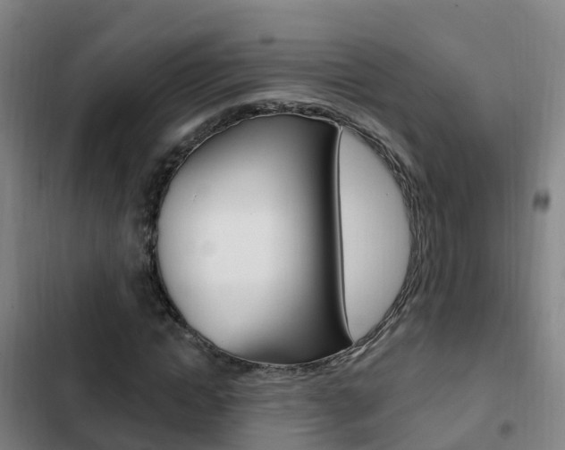 X0000103230822200808280948