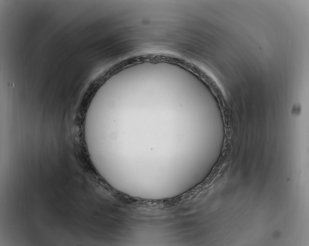 X0000103230823200808280948