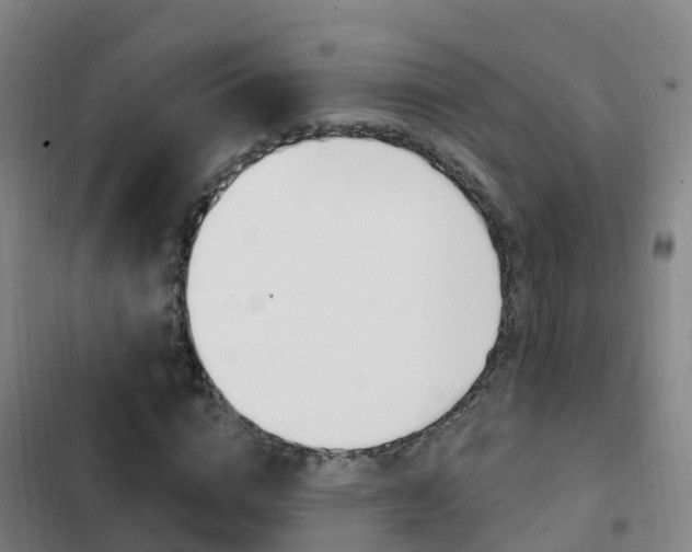 X0000103230824200808280948