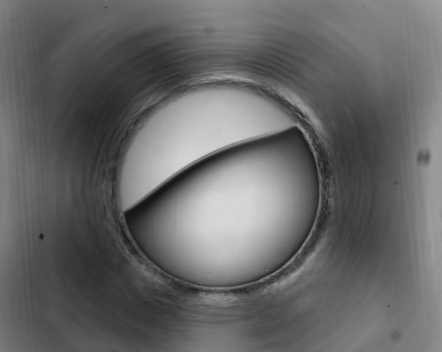 X0000103230825200808280948