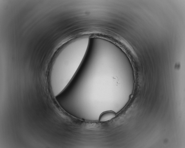 X0000103230826200808280948