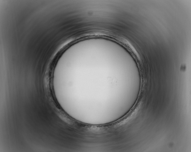X0000103230827200808280948